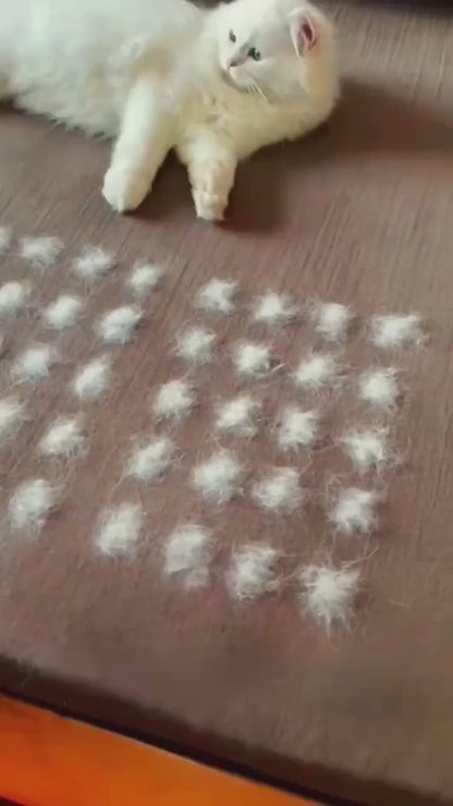 FurGlove