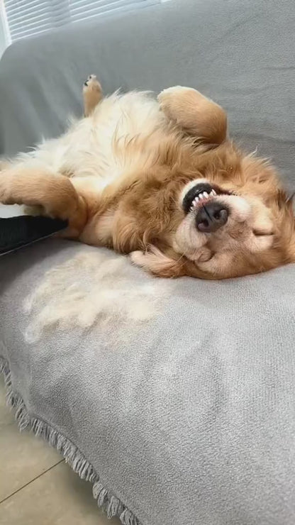 FurGlove